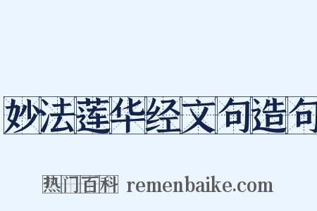 妙法莲华经文句造句是什么意思的图片